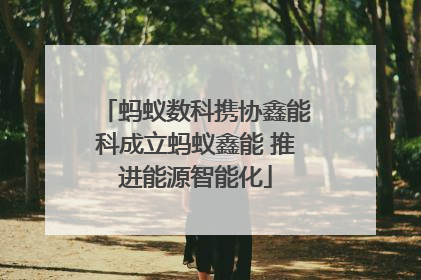 蚂蚁数科携协鑫能科成立蚂蚁鑫能 推进能源智能化