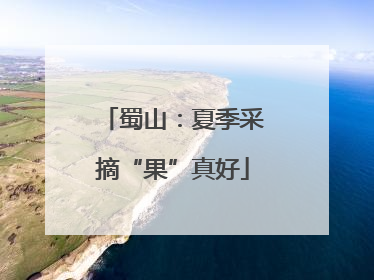 蜀山：夏季采摘“果”真好