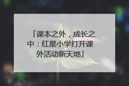 课本之外，成长之中：红星小学打开课外活动新天地