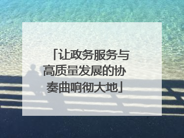 让政务服务与高质量发展的协奏曲响彻大地