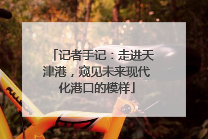 记者手记：走进天津港，窥见未来现代化港口的模样