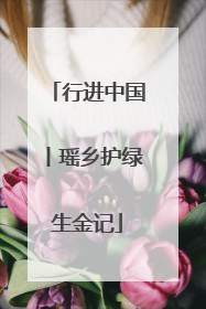 行进中国丨瑶乡护绿生金记