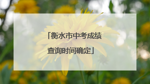 衡水市中考成绩查询时间确定