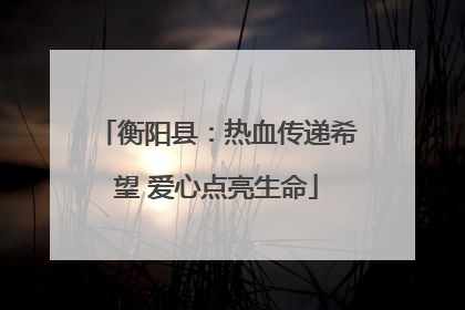 衡阳县：热血传递希望 爱心点亮生命