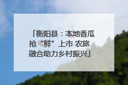 衡阳县：本地香瓜抢“鲜”上市 农旅融合助力乡村振兴