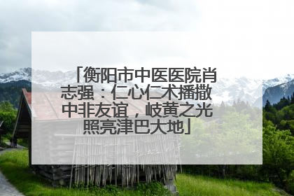衡阳市中医医院肖志强：仁心仁术播撒中非友谊，岐黄之光照亮津巴大地
