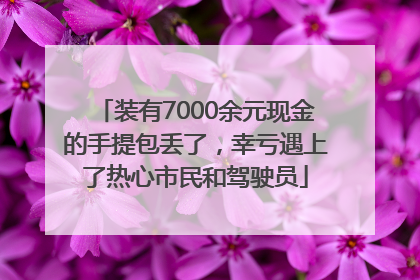 装有7000余元现金的手提包丢了，幸亏遇上了热心市民和驾驶员