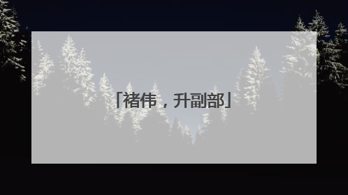 褚伟，升副部