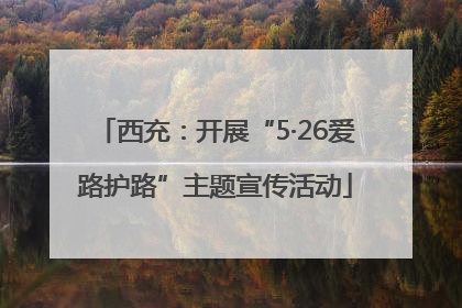 西充：开展“5·26爱路护路”主题宣传活动
