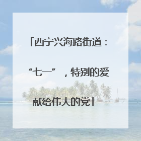 西宁兴海路街道：“七一”，特别的爱献给伟大的党