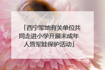 西宁军地有关单位共同走进小学开展未成年人暨军娃保护活动