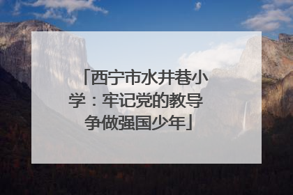 西宁市水井巷小学：牢记党的教导 争做强国少年