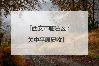 西安市临潼区：关中平原夏收