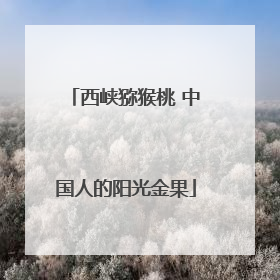 西峡猕猴桃 中国人的阳光金果