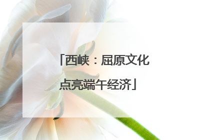 西峡：屈原文化点亮端午经济