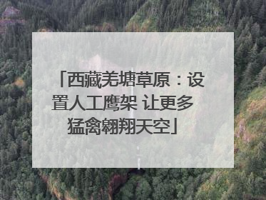 西藏羌塘草原：设置人工鹰架 让更多猛禽翱翔天空