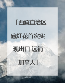 西藏自治区藏红花首次实现出口 远销加拿大