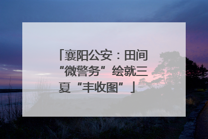 襄阳公安：田间“微警务”绘就三夏“丰收图”