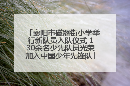 襄阳市磁器街小学举行新队员入队仪式 130余名少先队员光荣加入中国少年先锋队