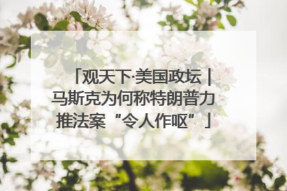 观天下·美国政坛｜马斯克为何称特朗普力推法案“令人作呕”