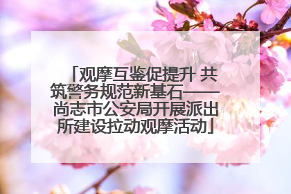 观摩互鉴促提升 共筑警务规范新基石——尚志市公安局开展派出所建设拉动观摩活动