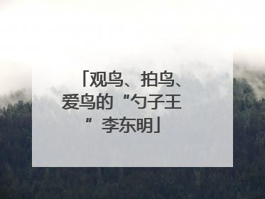 观鸟、拍鸟、爱鸟的“勺子王”李东明