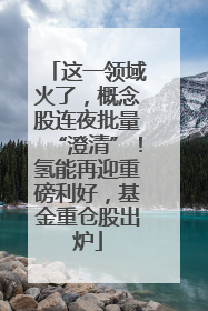 这一领域火了，概念股连夜批量“澄清”！氢能再迎重磅利好，基金重仓股出炉
