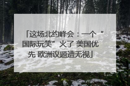 这场北约峰会：一个“国际玩笑”火了 美国优先 欧洲议题遭无视