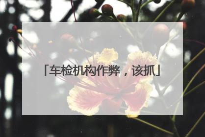 车检机构作弊，该抓