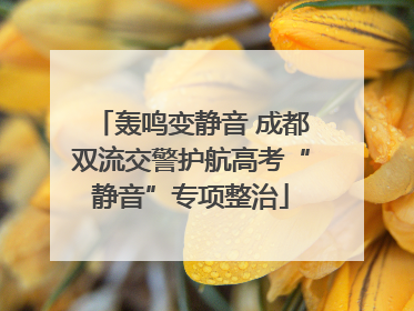 轰鸣变静音 成都双流交警护航高考“静音”专项整治