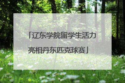 辽东学院留学生活力亮相丹东匹克球赛
