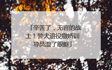 辛苦了，无言的战士！警犬退役撒娇训导员湿了眼眶