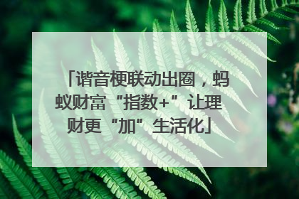 谐音梗联动出圈，蚂蚁财富“指数+”让理财更“加”生活化