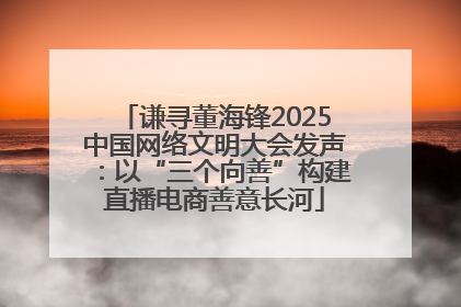谦寻董海锋2025中国网络文明大会发声：以“三个向善”构建直播电商善意长河