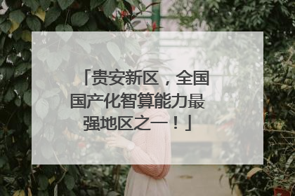 贵安新区，全国国产化智算能力最强地区之一！