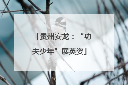 贵州安龙：“功夫少年”展英姿