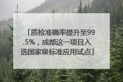 质检准确率提升至99.5%，成都这一项目入选国家级标准应用试点