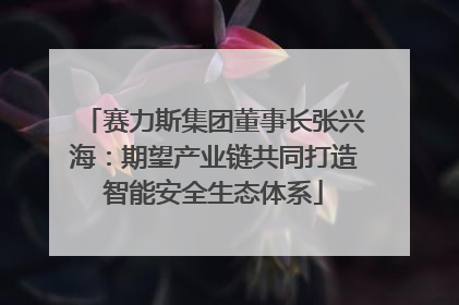 赛力斯集团董事长张兴海：期望产业链共同打造智能安全生态体系