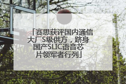 赛思获评国内通信大厂S级供方，跻身国产SLIC语音芯片领军者行列