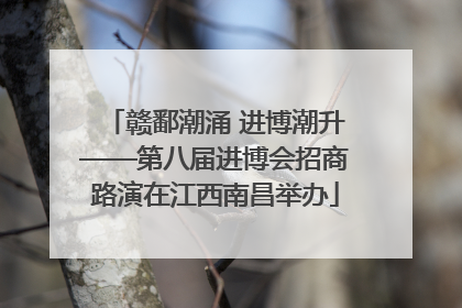 赣鄱潮涌 进博潮升——第八届进博会招商路演在江西南昌举办
