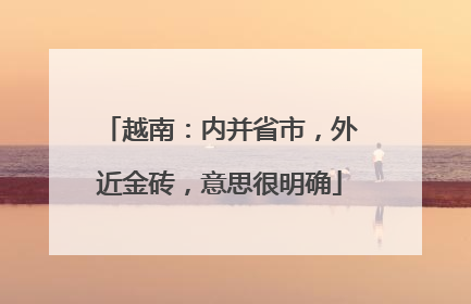 越南：内并省市，外近金砖，意思很明确