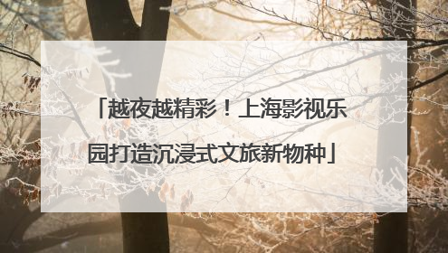 越夜越精彩！上海影视乐园打造沉浸式文旅新物种