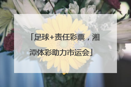 足球+责任彩票，湘潭体彩助力市运会