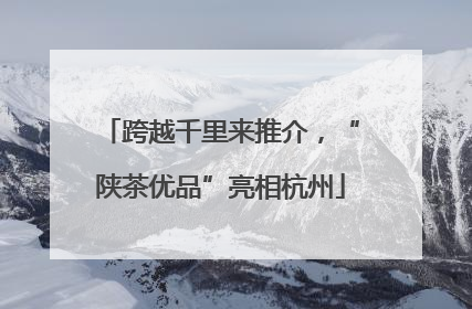 跨越千里来推介，“陕茶优品”亮相杭州