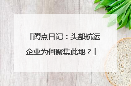 蹲点日记：头部航运企业为何聚集此地？