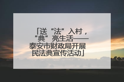 送“法”入村，“典”亮生活——泰安市财政局开展民法典宣传活动