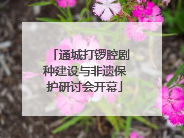 通城打锣腔剧种建设与非遗保护研讨会开幕
