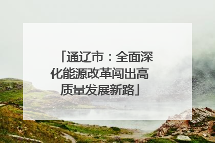 通辽市：全面深化能源改革闯出高质量发展新路
