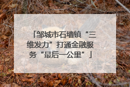 邹城市石墙镇“三维发力”打通金融服务“最后一公里”