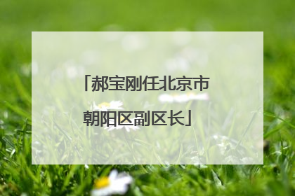 郝宝刚任北京市朝阳区副区长